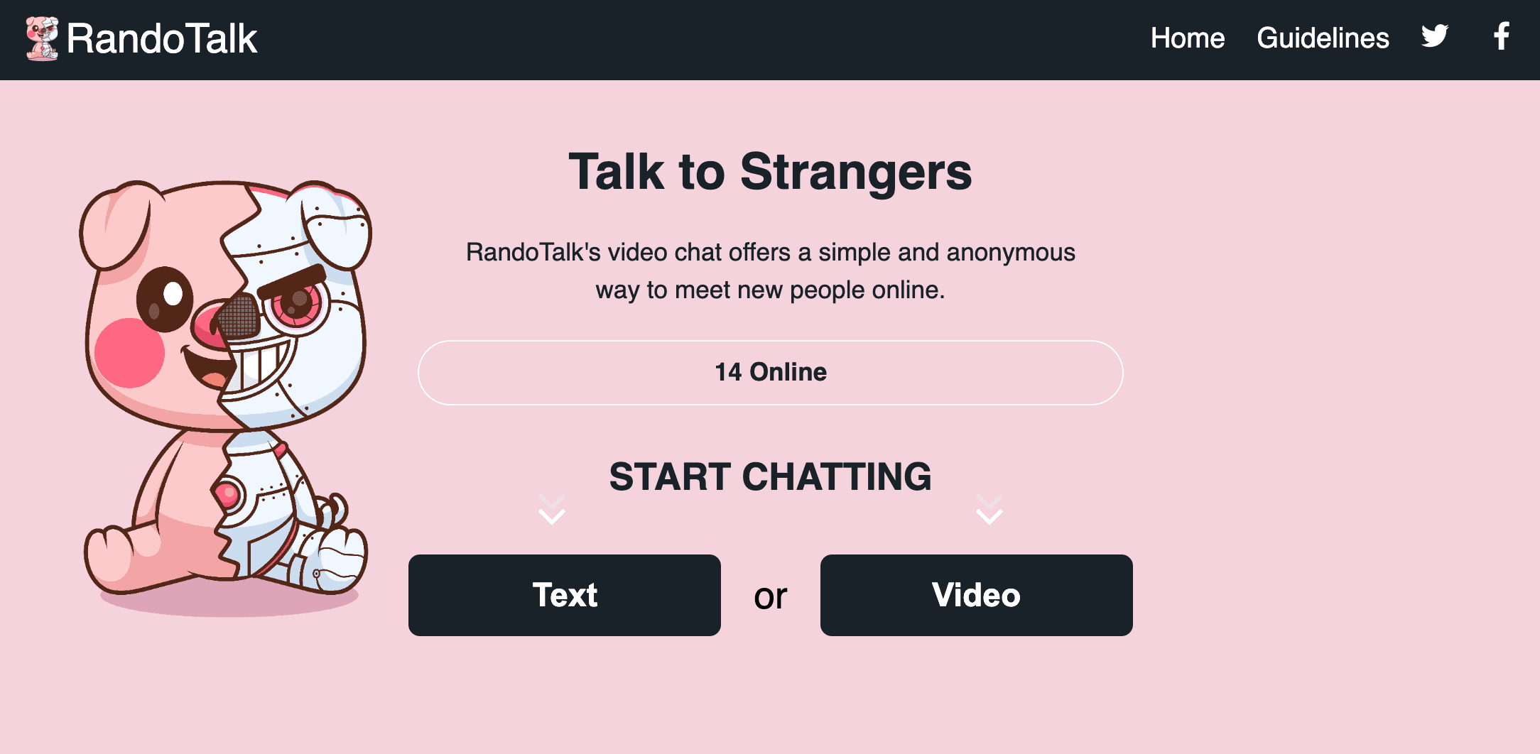 A teddy bear on a pink screen highlights the Randotalk homepage, designed for a high-risk chat application.